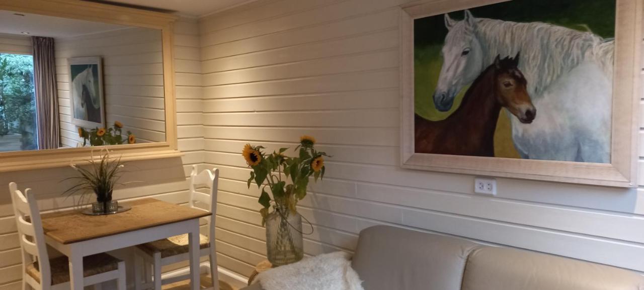 Chalet Le Papillon Zandvoort Dış mekan fotoğraf